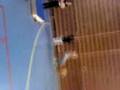 videos de MOV00005.3gp