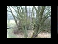 Drusetal zum Brückenhof .mpeg