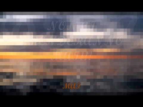 Immagine anteprima YouTube