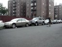 Averys tre flip take 2