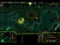 videos de Dota angelim 