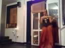 Nicole Vartin - Listen / Oye Nicole Vartin - Listen / Oye