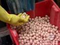 Gruesome Gum-Food Network