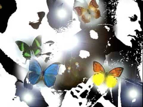 REAL LIFE MIRACLE  BUTTERFLY STORY--on MINUTES OF MIRACLES