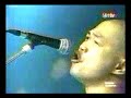 SHEILA & THE INSECTS - EVERYDAY DRIVE (edited)