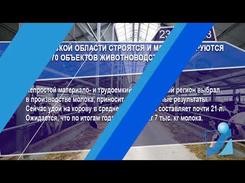 Новостная лента Телеканала Интекс 23.07.23.