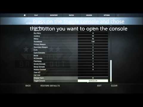 how to open console in cs go