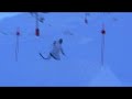 Pro Shaolin Skieur Pro Shaolin Skieur