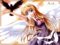 Air Tribute