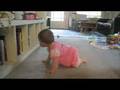 Edie Crawls