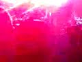 El tri (triste cancion) con la filarmonica de Queretaro