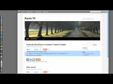 how to youtube videos wordpress