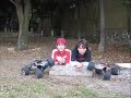 traxxas revos 3.3 jumping and playing around