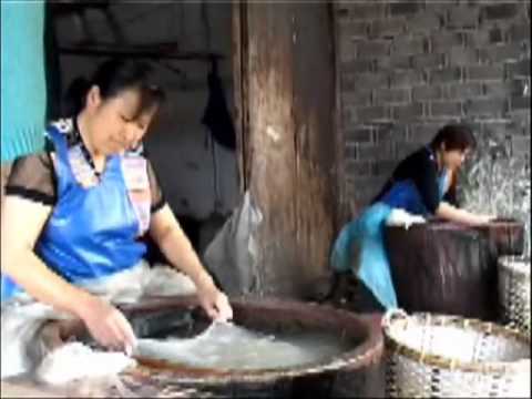 how to collect silk from silkworms