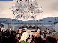 a hundred birds / jaguar