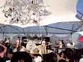clip video A Hundred Birds Too Close (Wing Dub)
