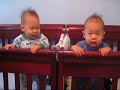 Two Little Monkeys