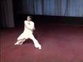 武术 - 形意拳