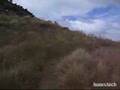 Port Hills New Zealand	 video