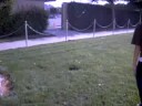 i triped in this vid