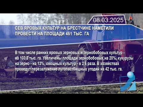 Новостная лента Телеканала Интекс 08.03.25.