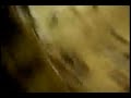 Glams Bailan Cumbia [1] carita ruborizada