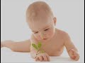 dejame nacer el aborto