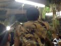 el tarugo de la caimana en acarigua (el baquiano) el tarugo de la caimana en acarigua (el baquiano)