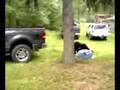 black bear 2
