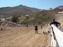 Ostrich Races Virginia City, Reno Ostrich Races Virginia City, Reno