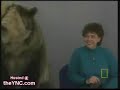 Little Bear