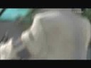 final fantasy 13