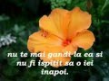 Buna dimnineata