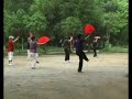F�cher Tai Chi im park in China