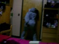 Donk Gone Wrong Pt. 3
