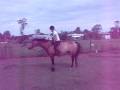 videos de Falcon's Malteser dismount