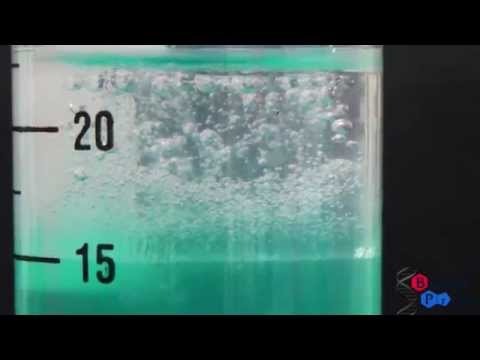 how to collect dna from cheek cells