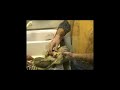 We at Uplandidaho.com have had a lot of requests from new hunters to describe how to clean game birds.  Bird hunting doesn't end with the retrieve; there is still work to be done.  This homemade video is a basic introduction to one way of cleaning your birds and is intended for beginner bird hunters.  Additional content includes: feeding game bird parts to your pupremoving pelletspackaging the meat for the freezer and dealing with damaged meat.  We hope you learn something from the video.