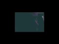 My First Inter-Personal YooToob Video