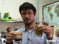 How to Order Cappuccino