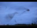 Hive Mind Flight Patterns Hive Mind Flight Patterns