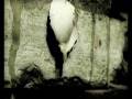 videos de Drone - Turmoil