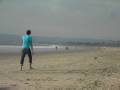videos de Chasing Birds