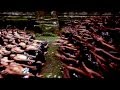 TROM v1 Documentary trailer (2011) - unimproved version