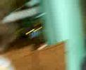 Spammers EB 062908 3