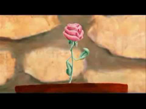 Patricia Pereyra en zona restringida | ABRAZADOR (revelaciones de un