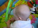 Nellie nuzzling the mirror