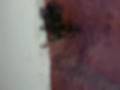 Hablando cn la araña :$:$