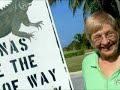 Little Cayman Island: Pirates Point Resort-Little Cayman Rev