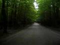 Leaving Aweda National Park